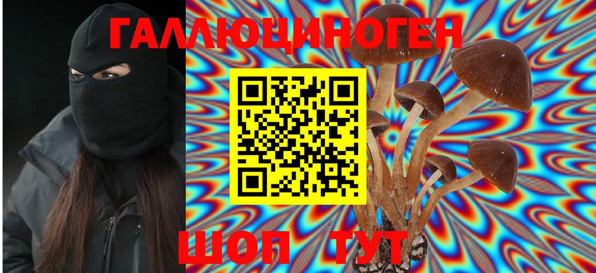Псилоцибиновые грибы Magic Shrooms  Вход с VPN  Камень-на-Оби  Псилоцибиновые грибы GOLDEN TEACHER 