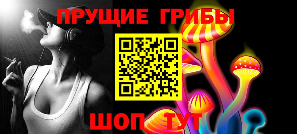 Псилоцибиновые грибы Psilocybe Камень-на-Оби